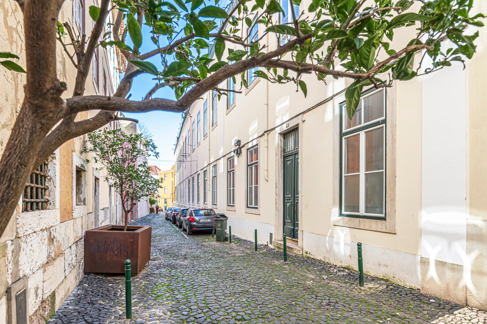 Cobblestone alley